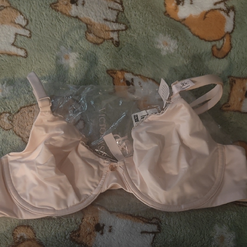 Body By Victoria's Secret Light Pink Bra Nwt Invisible Lift 36c